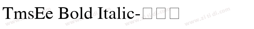 TmsEe Bold Italic字体转换